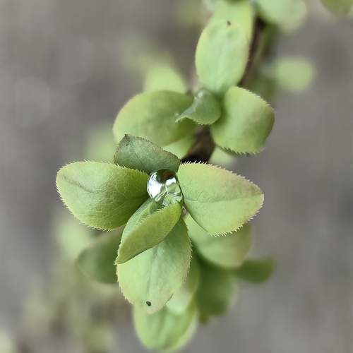 Photo #13589282