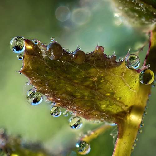 Photo #13589300