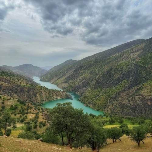Photo #13589498