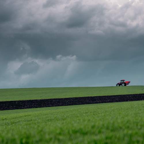 Photo #13589500