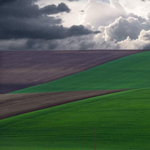 Photo #13589501