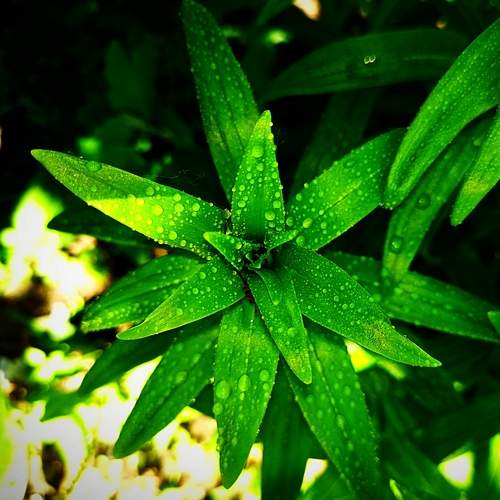 Photo #13589553