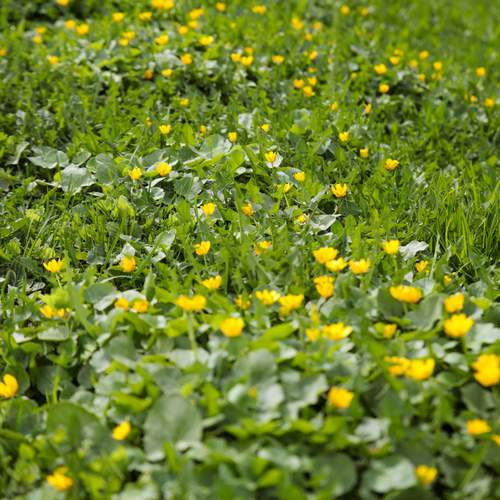 Photo #13589601