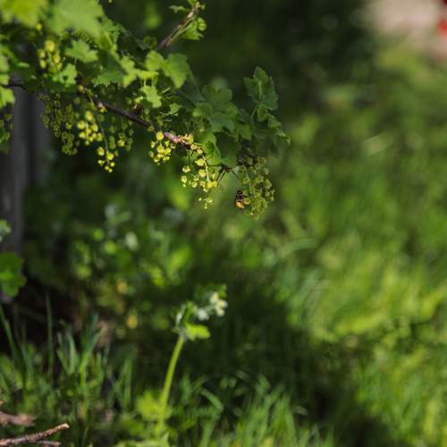 Photo #13589603