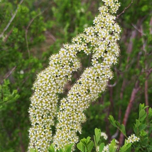 Photo #13589611