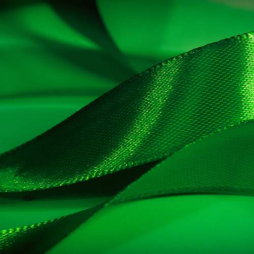 Photo #13589664