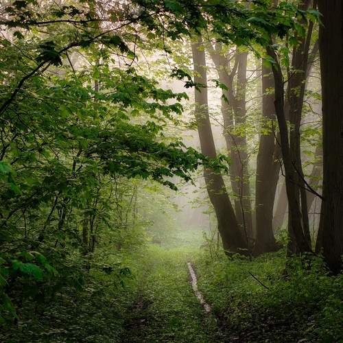 Photo #13589668