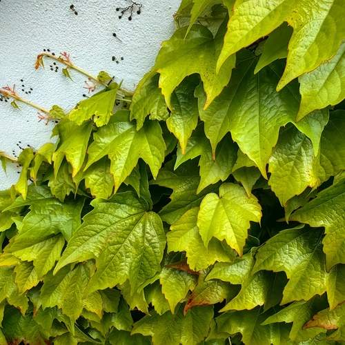 Photo #13589734
