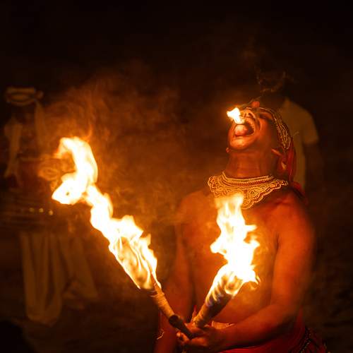 Photo #13589747