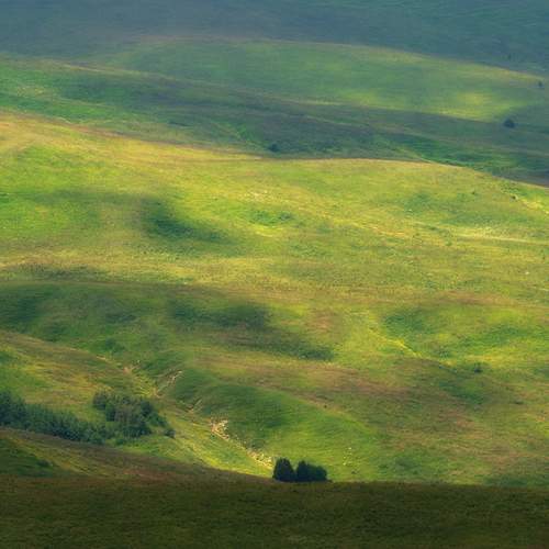 Photo #13589801