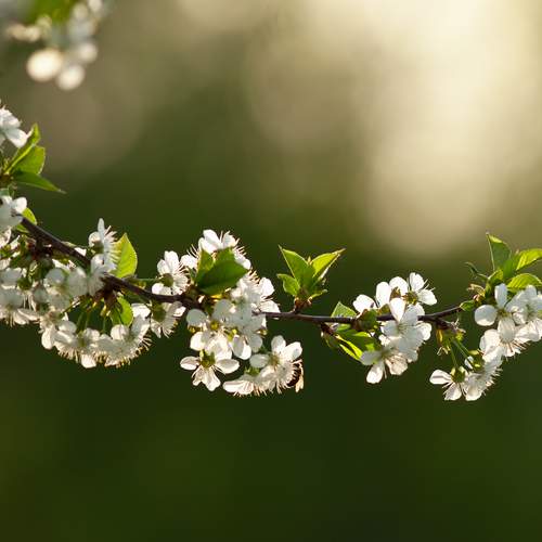 Photo #13589857