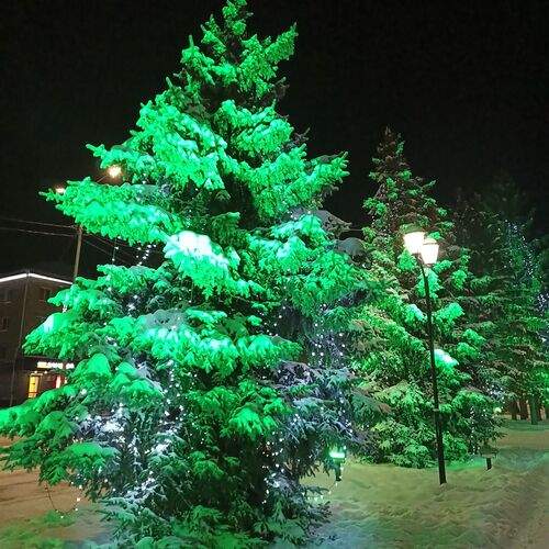 Photo #13589974