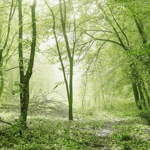 Photo #13589988