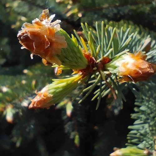 Photo #13590027