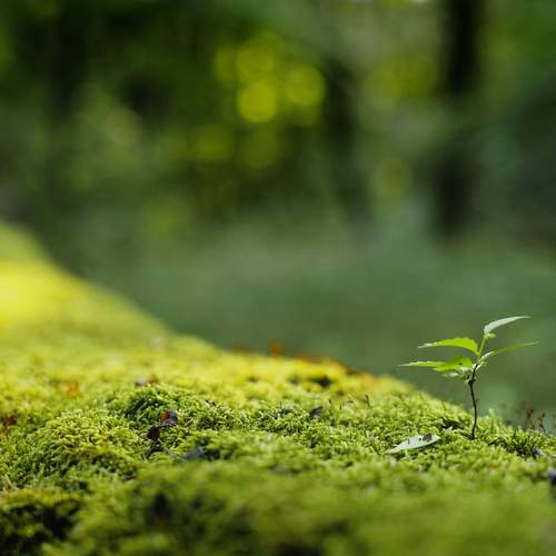 Photo #13590166