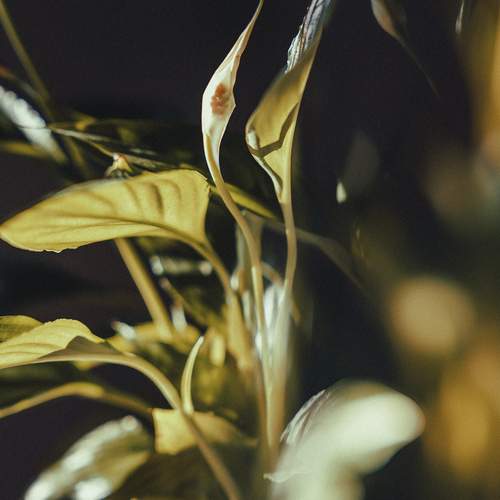 Photo #13590167