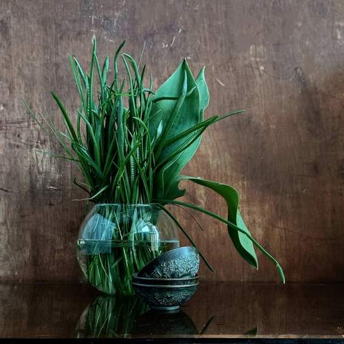 Photo #13590179