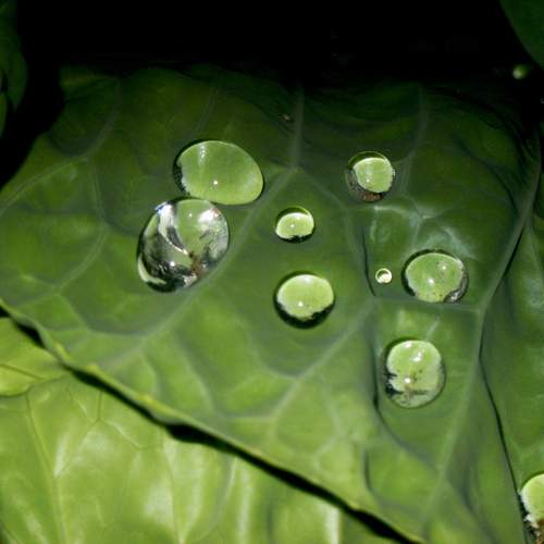 Photo #13590252