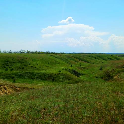 Photo #13590259