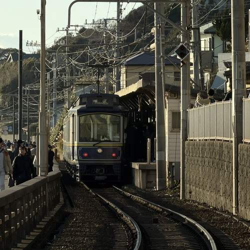Photo #13590274