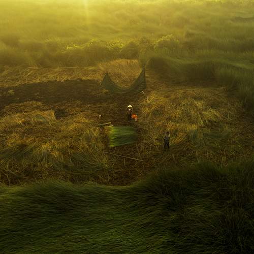 Photo #13590285