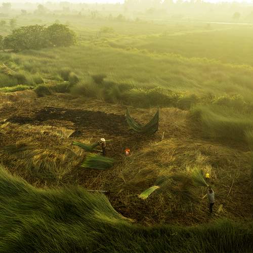Photo #13590286