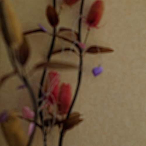 Photo #13590295
