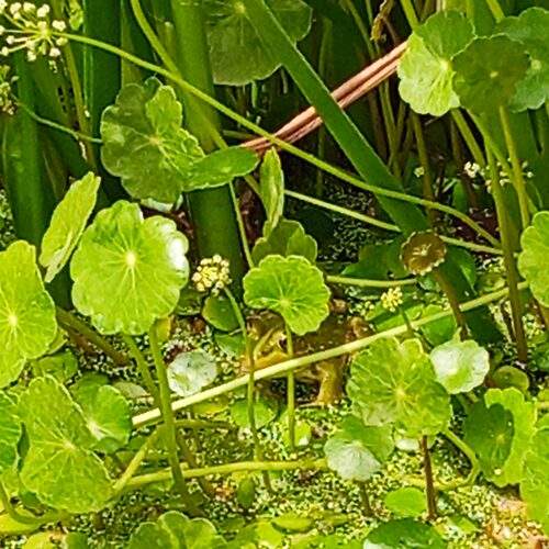 Photo #13590383