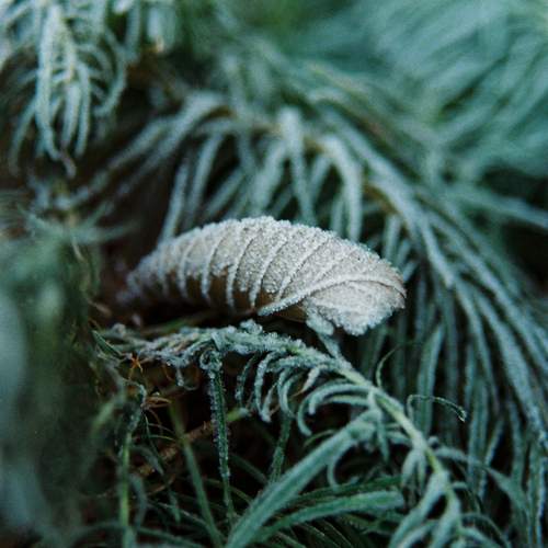 Photo #13590461