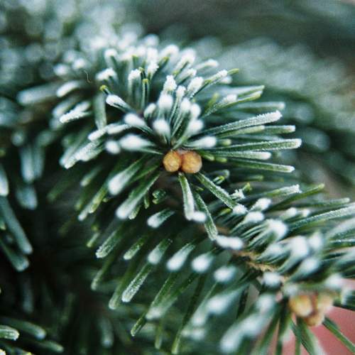 Photo #13590462