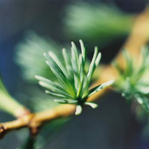 Photo #13590472