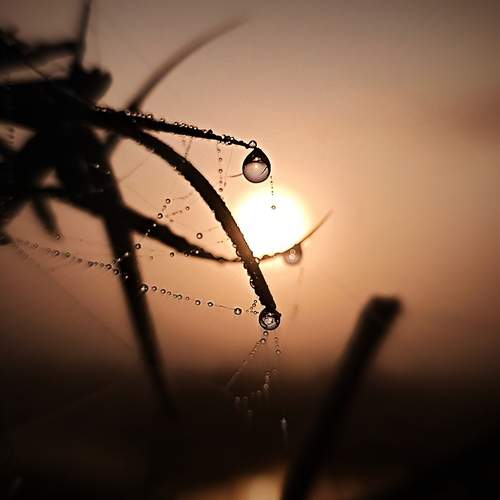 Photo #13590492