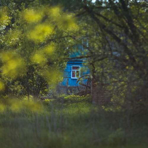 Photo #13590507