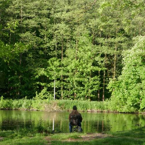 Photo #13590544