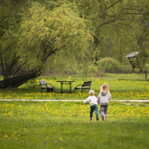 Photo #13590602