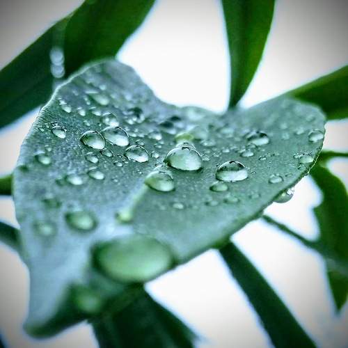 Photo #13590603
