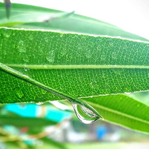 Photo #13590613
