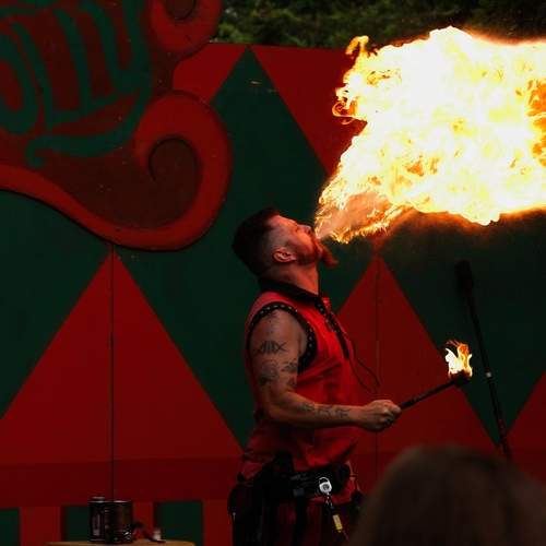 Photo #13590620