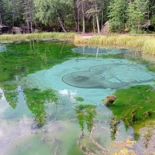 Photo #13590637