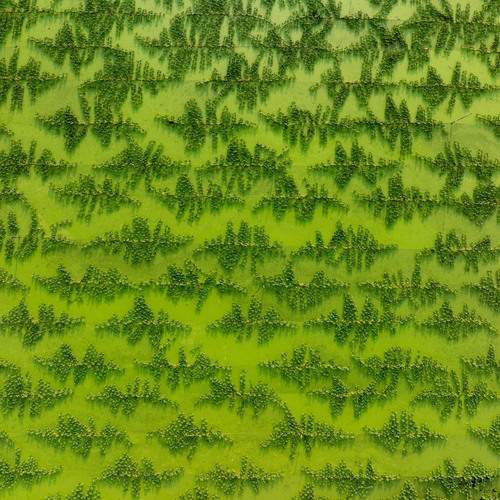 Photo #13590642