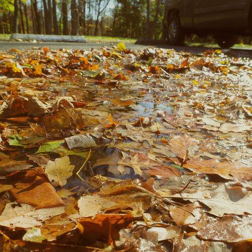 Photo #13590684