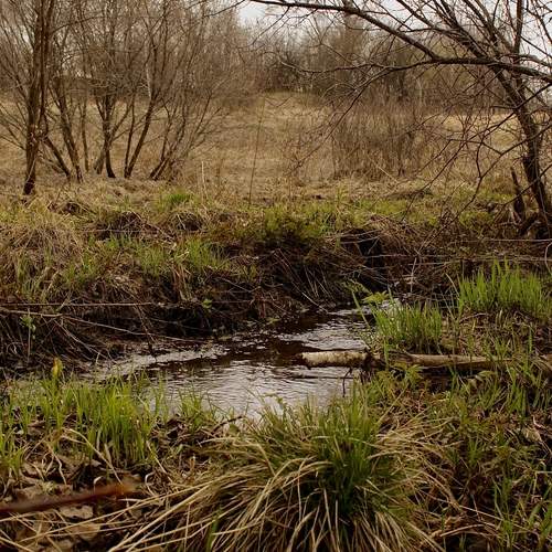 Photo #13590736