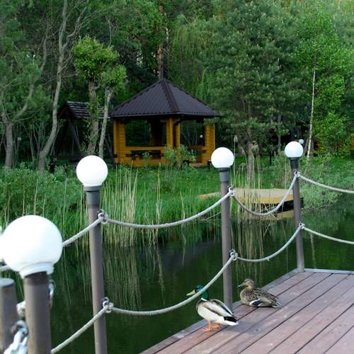 Photo #13590740