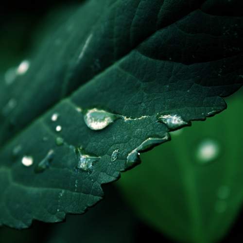 Photo #13590830