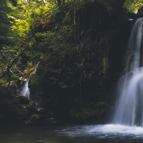Photo #13590938