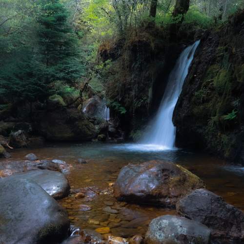 Photo #13590948