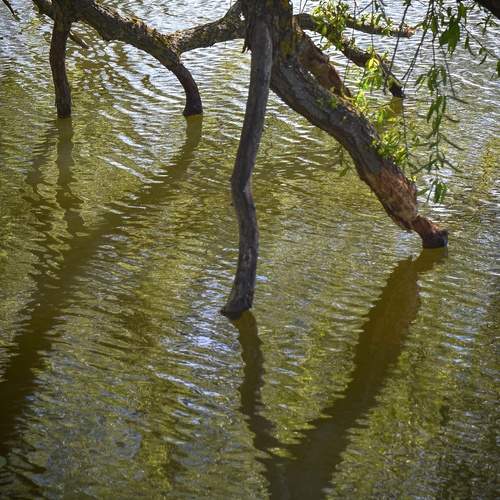Photo #13590996