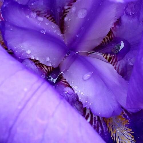 Photo #13591083