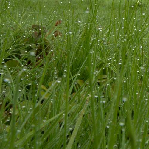 Photo #13591137