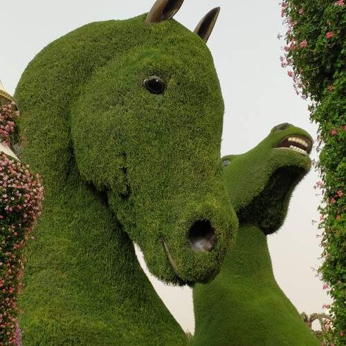 Photo #13591265